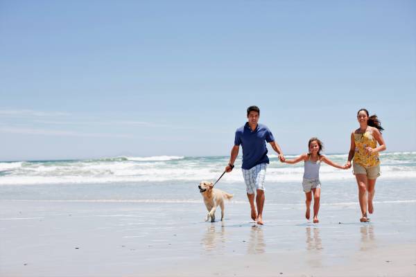 Family on the beach with their puppy