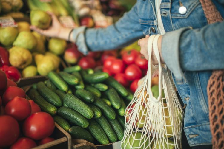 North Myrtle Beach Farmers Market