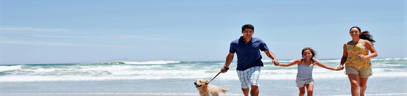 Family on the beach with a puppy